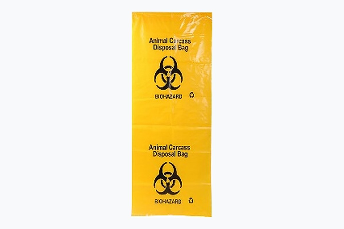 Body Bag D01 — LDPE